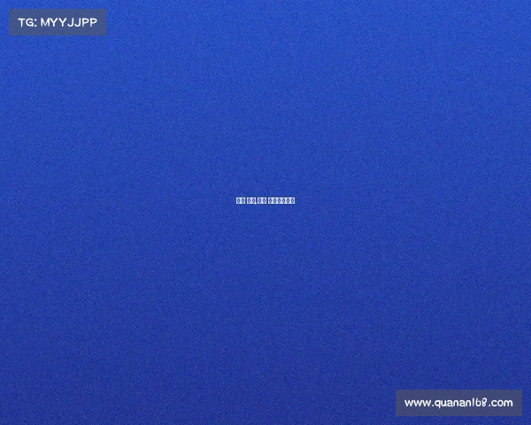 上海 赛事,上海 赛事导演工资